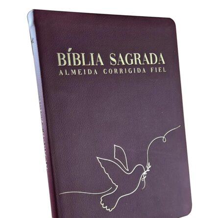 Bíblia Sagrada Paz | ACF | Letra Maior | Capa Luxo - Image 3